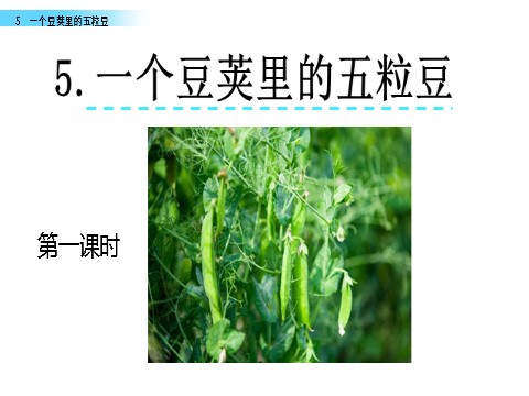 四年级上册语文（部编版）5 一个豆荚里的五粒豆第1页