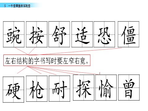 四年级上册语文（部编版）5 一个豆荚里的五粒豆第3页