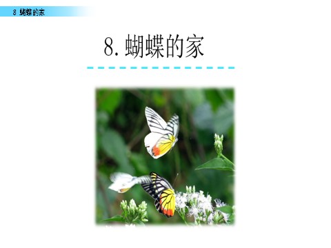 四年级上册语文（部编版）8 蝴蝶的家第1页