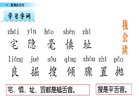 四年级上册语文（部编版）11 蟋蟀的住宅第4页