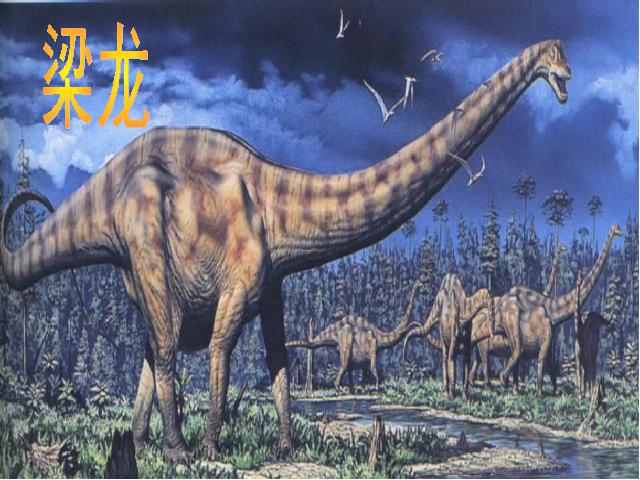 四年级上册语文（人教版）语文“第31课”《飞向蓝天的恐龙》第7页