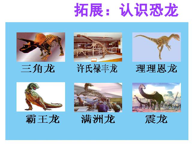 四年级上册语文（人教版）语文《第31课：飞向蓝天的恐龙》(人教第9页