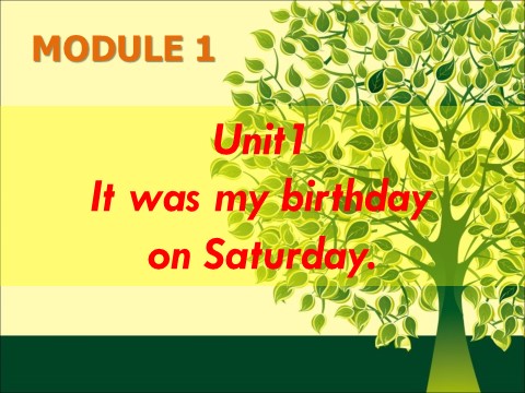 四年级上册英语（外研一起点）Module 1 Unit 1 It was my birthday on Saturday第1页