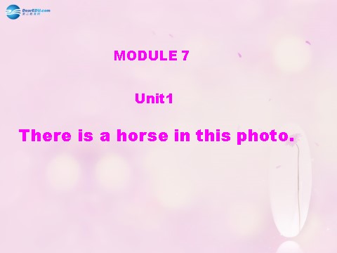 四年级上册英语（外研三起点）Module 7 Unit 1 There is a horse in this photo课件1 外研版（三起）第1页