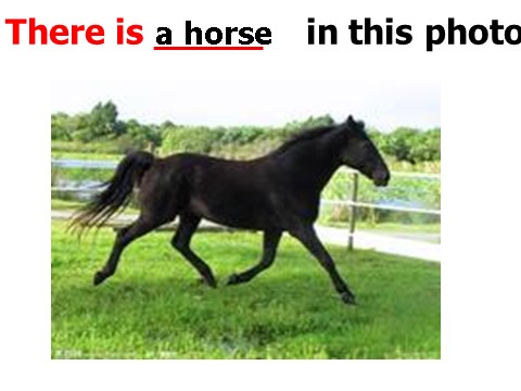 四年级上册英语（外研三起点）Module 7《Unit 1 There is a horse in this photo》ppt课件3第3页