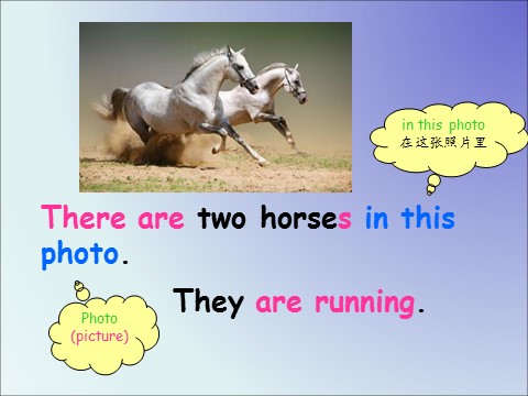 四年级上册英语（外研三起点）Module 7 Unit 1 There is a horse in this photo 课件第6页