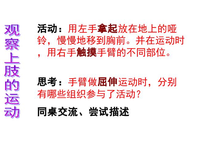 四年级上册科学科学“我们的身体”《4.2骨骼、关节和肌肉》（第4页