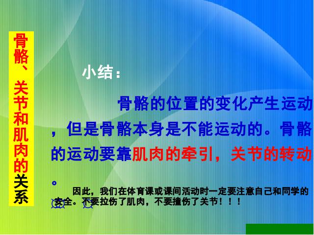 四年级上册科学科学《4.2骨骼、关节和肌肉》第8页
