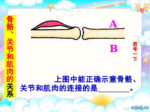 四年级上册科学科学《4.2骨骼、关节和肌肉》第9页