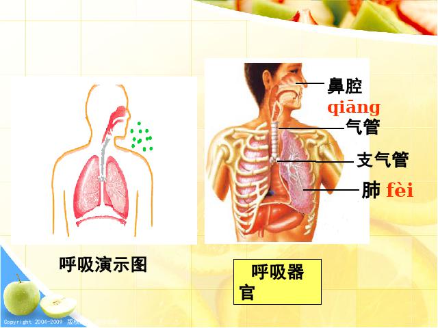 四年级上册科学科学《4.3运动起来会怎样（一）》（）第5页