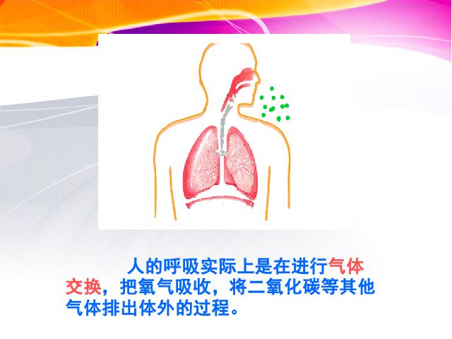 四年级上册科学科学《4.3运动起来会怎样（一）》第10页