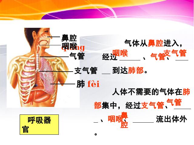 四年级上册科学科学《4.3运动起来会怎样（一）》第5页