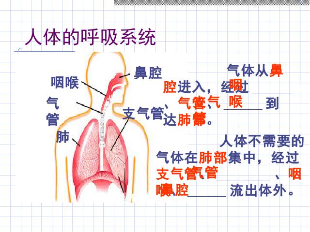 四年级上册科学科学《4.3运动起来会怎样（一）》(教第5页