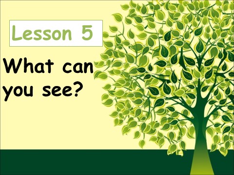 四年级上册英语（科普版）Lesson 5 What can you see第1页
