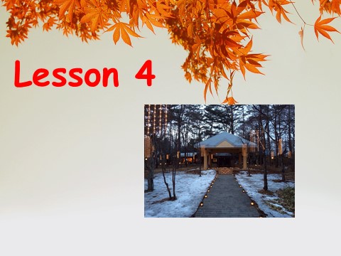 四年级下册英语（精通版）! Lesson 4 课件1第2页