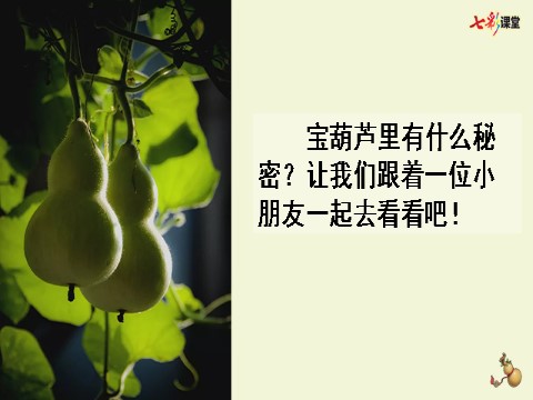 四年级下册语文（部编版）25 宝葫芦的秘密（节选）第1页