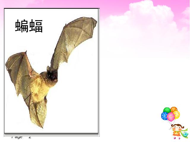 四年级下册语文语文第11课-《蝙蝠和雷达》（第八册）第2页