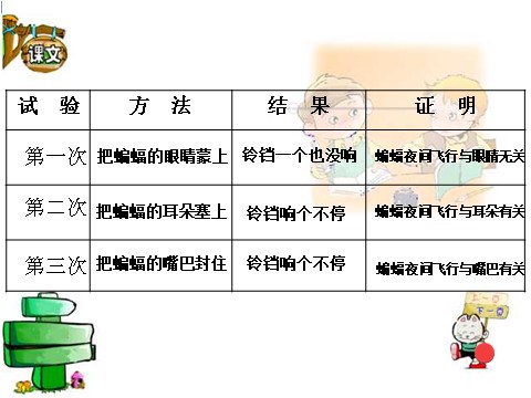 四年级下册语文蝙蝠和雷达ppt课件2第4页