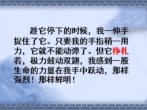 四年级下册语文生命生命ppt课件2第7页