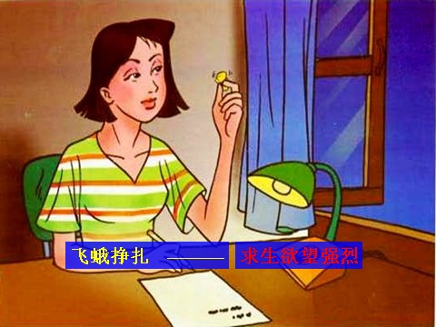 四年级下册语文《生命__生命》教学课件2第4页