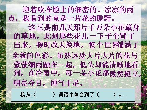 四年级下册语文课堂教学课件2第9页