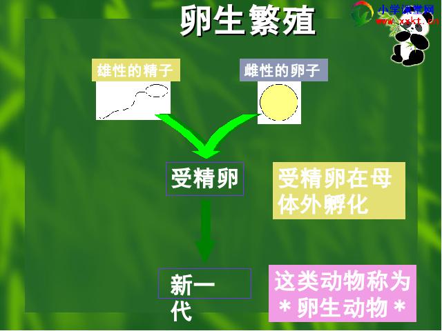 四年级下册科学第二单元《动物的繁殖活动》(科学)第9页