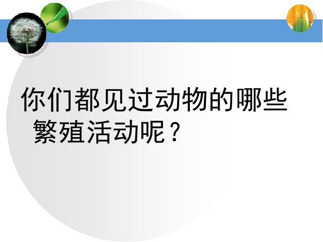 四年级下册科学科学《动物的繁殖活动》(教科版)第3页