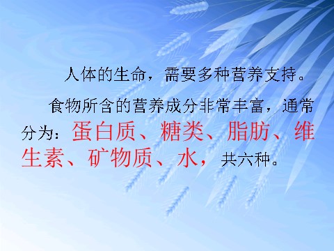 四年级下册科学（教科版）科学“食物”食物中的营养ppt教学课件第2页