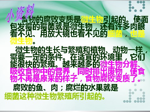 四年级下册科学（教科版）科学减慢食物变质的速度ppt课件第10页