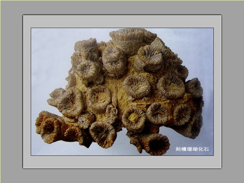 四年级下册科学（教科版）科学认识几种常见的岩石ppt教学课件第8页