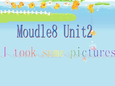 四年级下册英语（外研版三起点）公开课Module8 Unit2 I took some picturesppt课件第1页