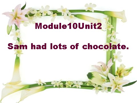 四年级下册英语（外研版三起点）外研版Module10 Sam had lots of chocolateppt课件第1页
