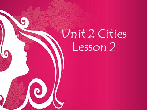 四年级下册英语(SL版)Unit 2 Cities Lesson 2 课件2第1页