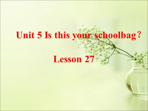 五年级上册英语（精通版）Lesson 27 课件2第1页