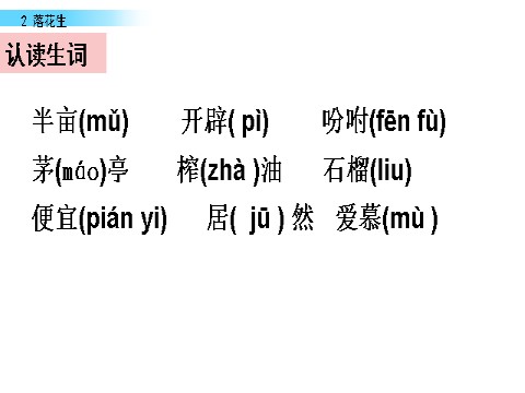 五年级上册语文（部编版）2 落花生课件第4页