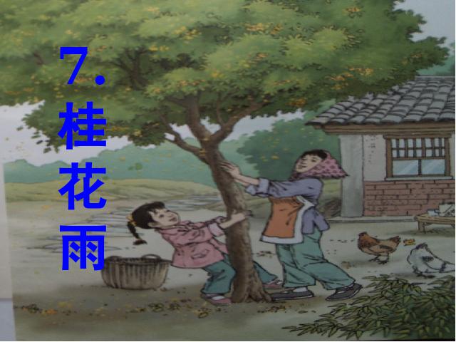 五年级上册语文语文《桂花雨》（）第1页