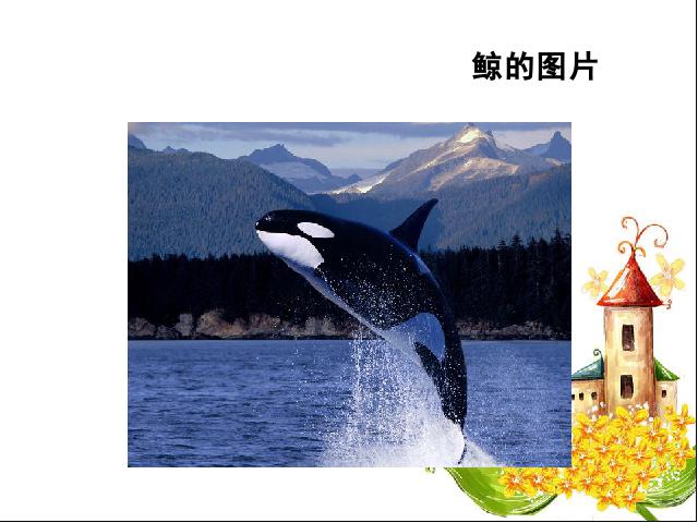 五年级上册语文语文《第9课:鲸》()第4页