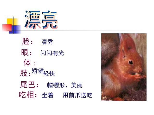 五年级上册语文《第10课：松鼠》(语文)第8页