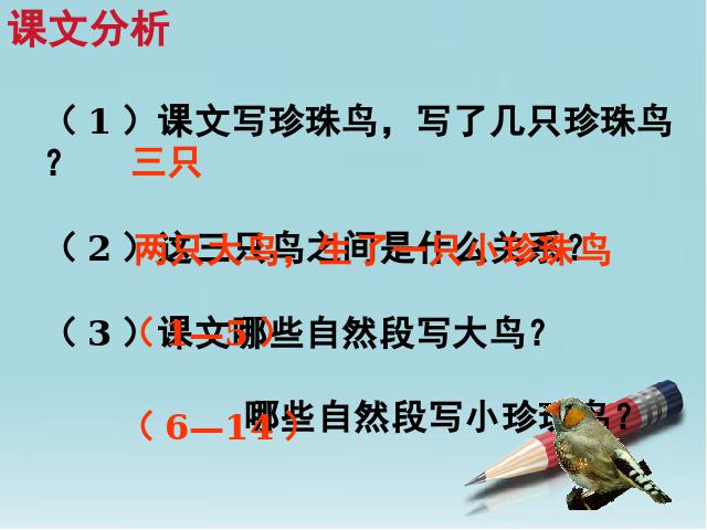 五年级上册语文《珍珠鸟》ppt语文课件下载第5页