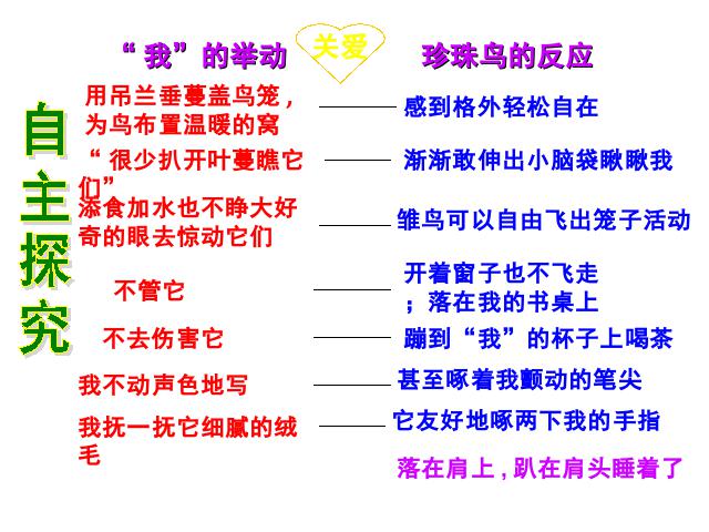 五年级上册语文《珍珠鸟》第7页