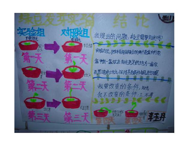 五年级上册科学科学《1.1种子发芽实验(一)》第10页