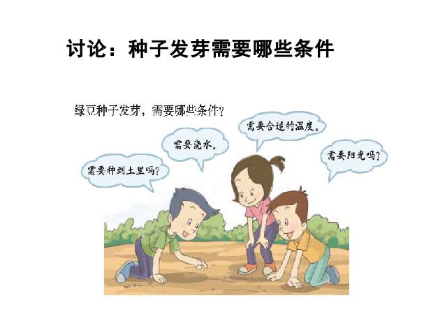 五年级上册科学科学《1.1种子发芽实验(一)》第4页