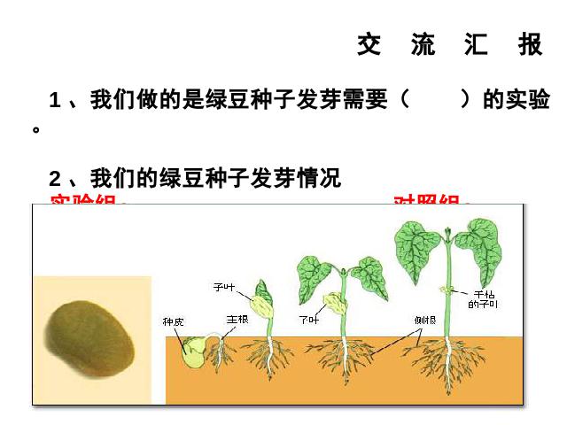 五年级上册科学教科版《1.2种子发芽实验(二)》(科学)第4页