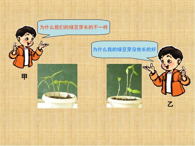 五年级上册科学科学“生物与环境”《1.3观察绿豆芽的生长》（第3页