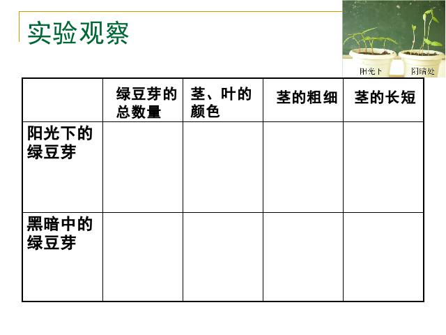 五年级上册科学科学《1.3观察绿豆芽的生长》第6页