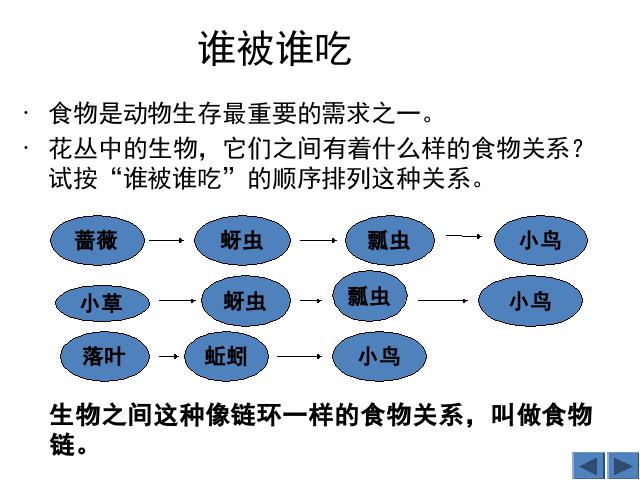 五年级上册科学科学《1.5食物链和食物网》第4页