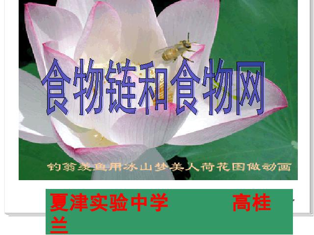 五年级上册科学《1.5食物链和食物网》(科学)第1页