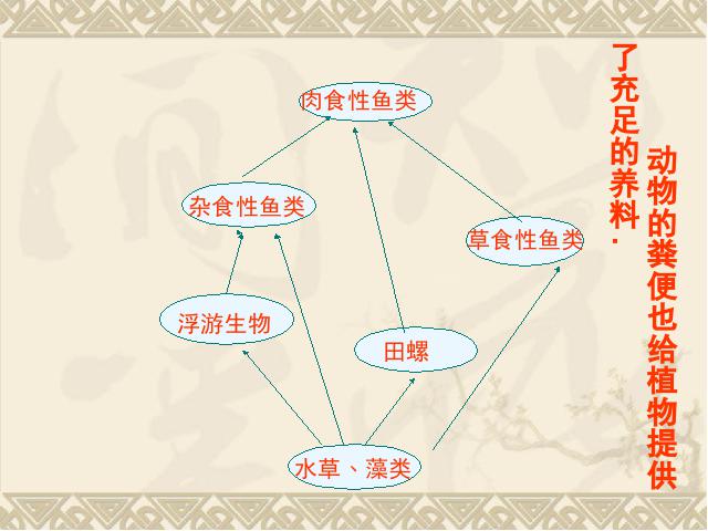 五年级上册科学科学“生物与环境”《1.6做一个生态瓶》（）第9页