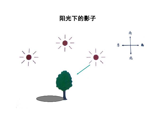 五年级上册科学科学“光”《2.2阳光下的影子》第10页