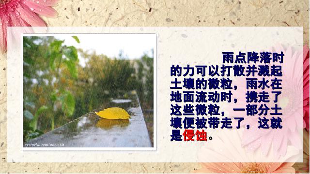 五年级上册科学教科版《3.5雨水对土地的侵蚀》(科学)第7页